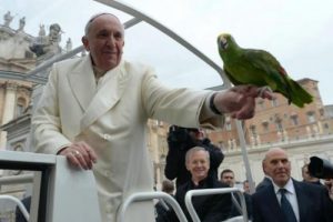 Mitä paavi ajattelee eläimistä?