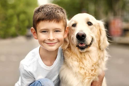 Perhe- ja lapsiystävälliset koirarodut