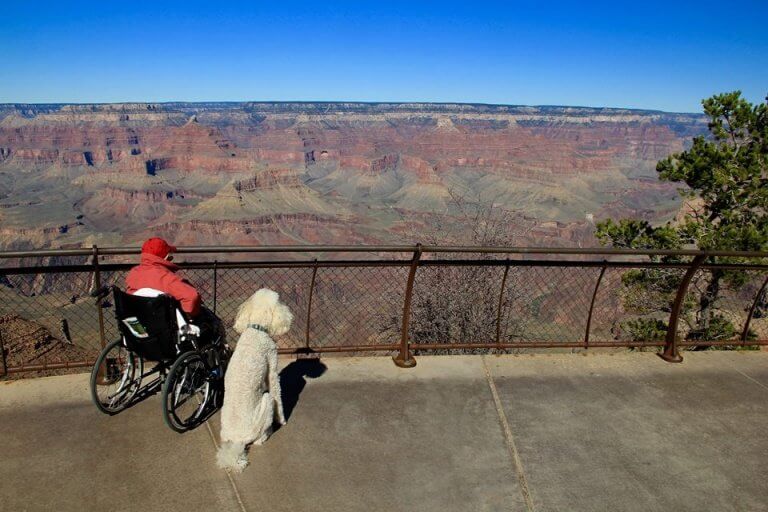 90-vuotias nainen matkusti ympäri Yhdysvaltoja koiransa kanssa