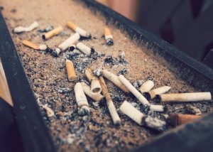 Tupakansavu vaikuttaa eläimiin haitallisesti