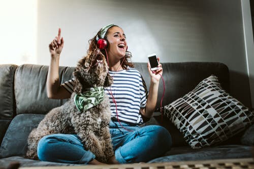 Kannattaako lemmikille jättää radio päälle, kun se jää yksin kotiin?