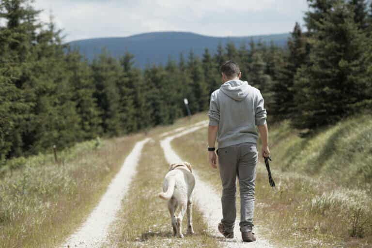 5 syytä käydä koiran kanssa kävelyllä päivittäin