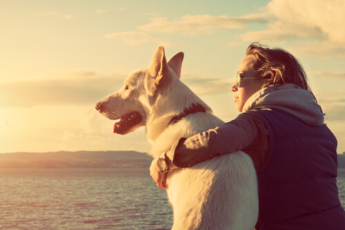 Un femme tient un chien blanc dans ses bras, tous les deux face à la mer l'air paisible