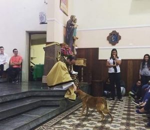 Un chien errant entre dans une église et reçoit la bénédiction du curé