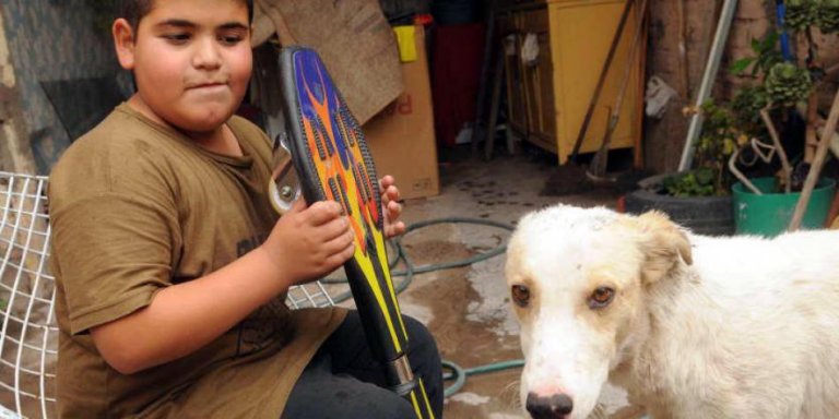 Le jeune garçon, son skate et un chien