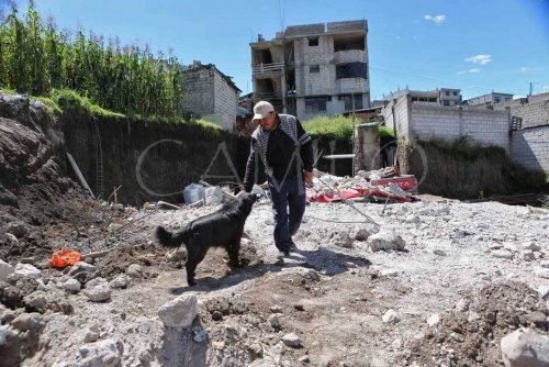 un chien et un homme sur les débris d'un tremblement de terre