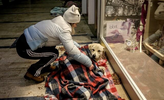 une femme pose une couverture sur un chien allongé parterre