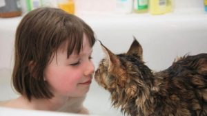 L'incroyable relation entre une petite fille autiste et son chat