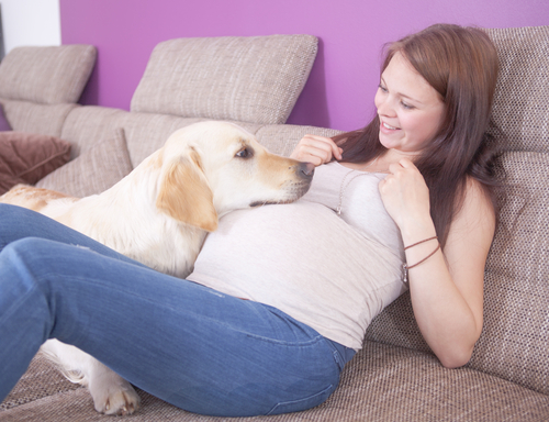 un femme enceinte allongé avec un chien