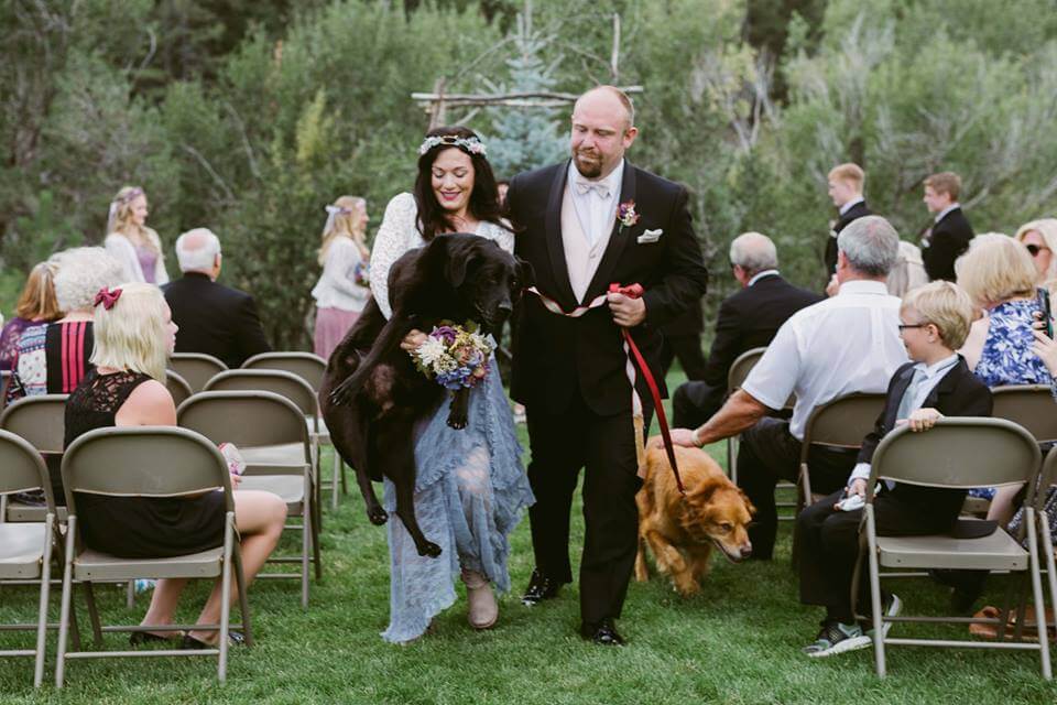 le mariage du couple avec leurs chiens