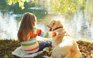 6 races de chiens idéales pour jouer avec les enfants