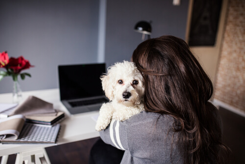 Une femme assise en face d'un bureau avec un chien dans les bras