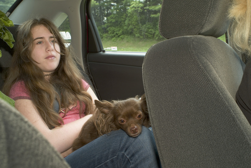 une jeune fille assise à l'arrière d'une voiture tient un petit chien sur ses genoux