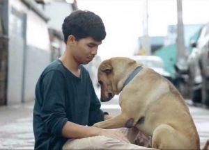 Un jeune homme donne le premier câlin aux chiens sans-abri