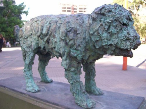 L'histoire du chien errant, Fernando, immortalisé par Alberto Cortez