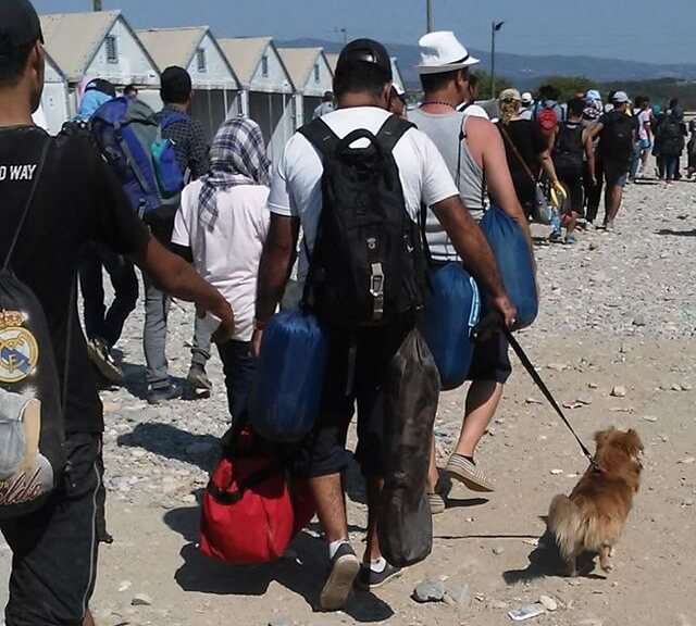 Un réfugié débarque sur la plage avec son chien en laisse