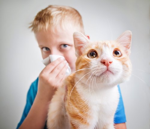 Un enfant cache son visage dans un mouchoir en tenant un chat