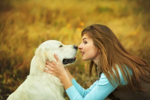 la communication entre chien et humain peut passer par la langue des signes