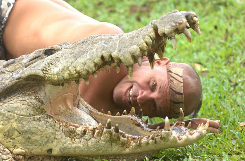 un homme à sa tête à côté de la gueule d'un alligator