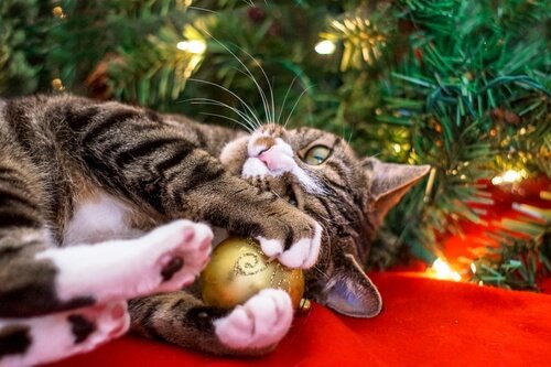 un chat joue avec une boule de Noël