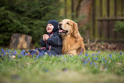 Un enfant est assis par terre dans un champs avec un gros chien à ses côtés