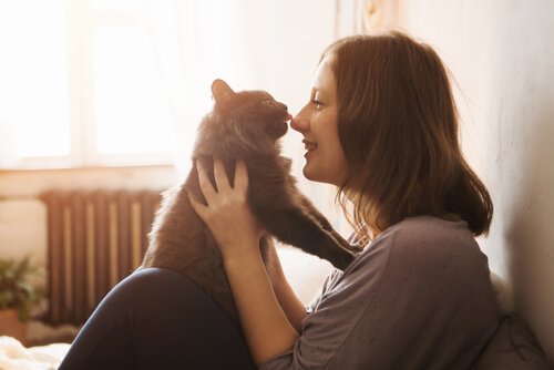 un chat lèche le nez d'une femme qui le tient dans ses bras