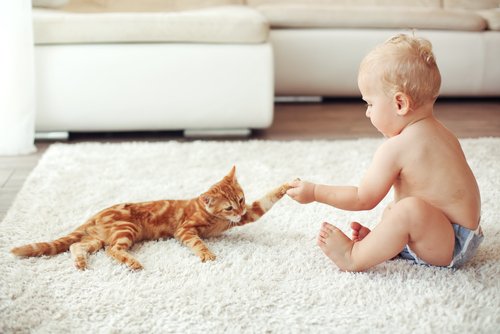 Un bébé joue avec un chat