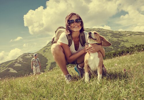 5 destinations en Europe pour voyager avec votre chien