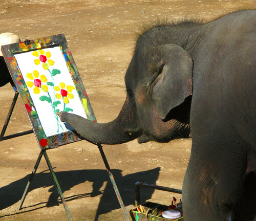 Les éléphants peintres en Thaïlande
