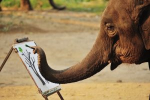 Des éléphants qui peignent : abus d'animaux ?