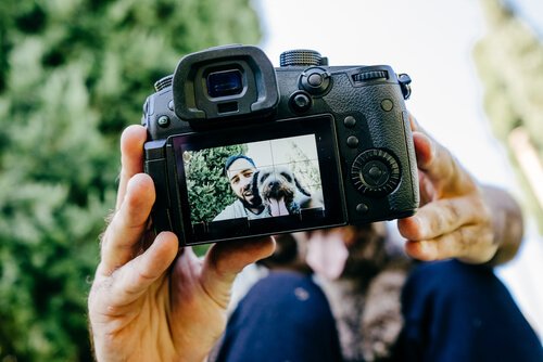4 astuces pour prendre de bonnes photos de votre animal