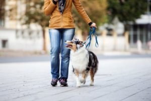 femme qui sort promener son chien
