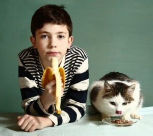 Découvrez les fruits que les chats peuvent manger
