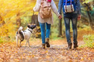 Que devriez-vous emporter pour promener votre chien tout en faisant de l'exercice ?