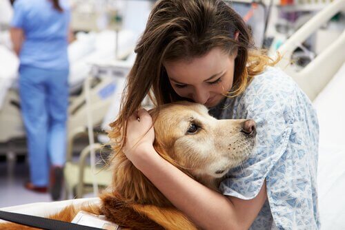 Des chiens infirmiers qui sauvent la vie