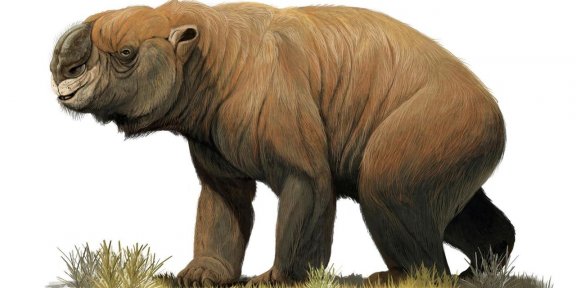 La mégafaune éteinte d’Australie