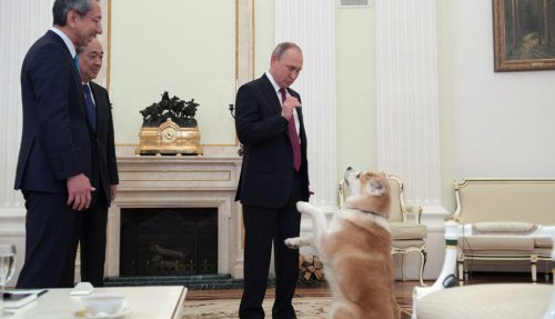 Le chien de Vladimir Poutine “effraie” les journalistes japonais