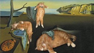 oeuvres d'art avec des chats