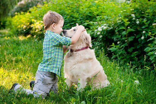 Comment enseigner le langage corporel du chien à votre enfant ?