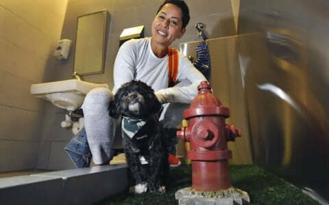 Une femme et son chien dans les toilettes pour animaux d'un aéroport