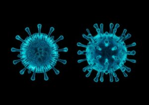 5 données à savoir sur le coronavirus canin