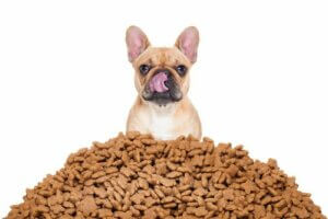 Calculer au mieux les portions de nourriture de votre chien