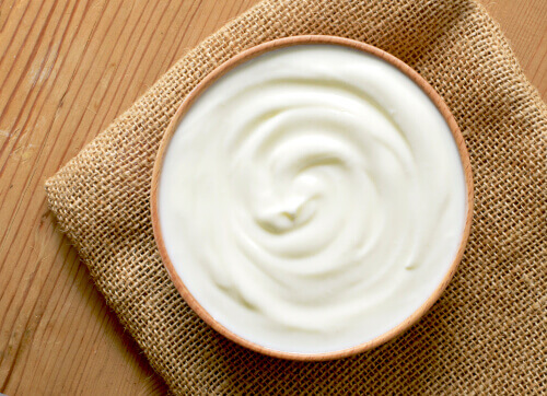 Le yaourt probiotique et son effet sur le microbiote intestinal