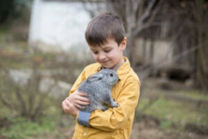 La thérapie par le lapin est efficace auprès des enfants.