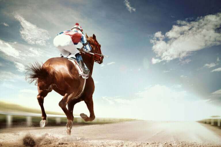 Les maladies les plus courantes chez les chevaux de course