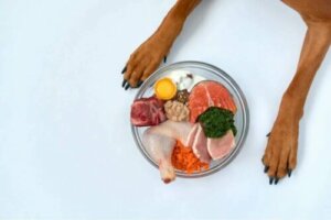 Vitamine D : pourquoi affecte-t-elle la santé des animaux ?