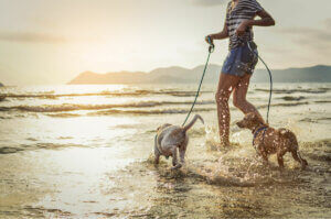 Une femme qui promène ses chiens au bord de l'océan.