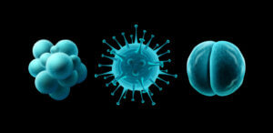 L’océan contient 200000 nouveaux types de virus différents, selon la science