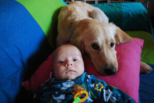 Une chienne allaite un bébé abandonné
