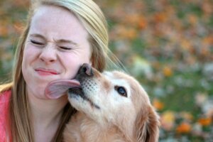 Comment les chiens saluent-ils ?